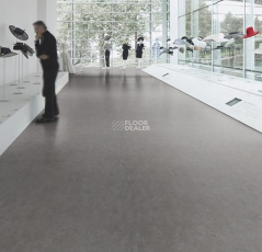 Forbo Marmoleum Decibel on Order 313735 slate grey фото 2 | FLOORDEALER